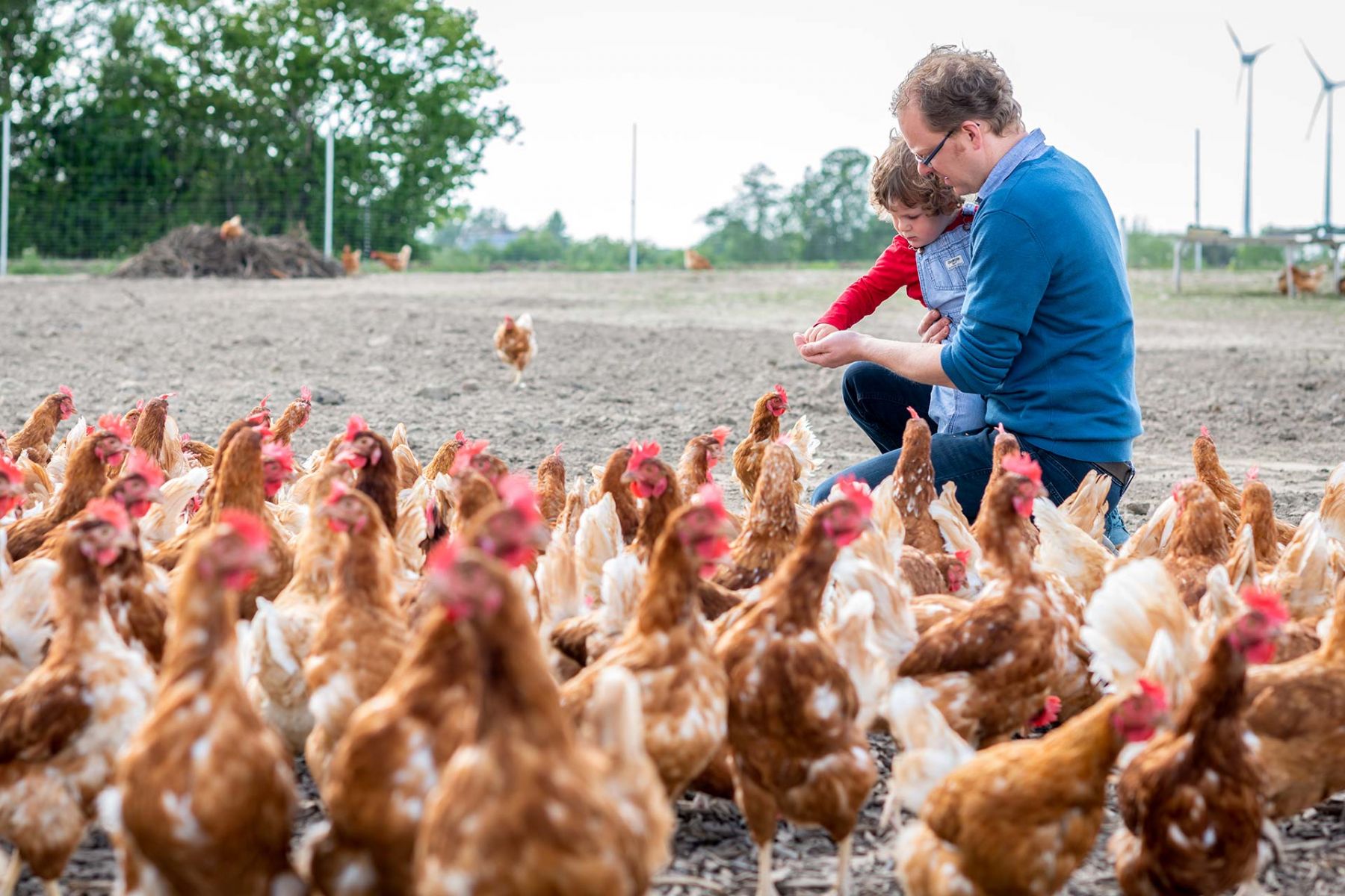 Huehner Slider Foto unter freiem Himmel